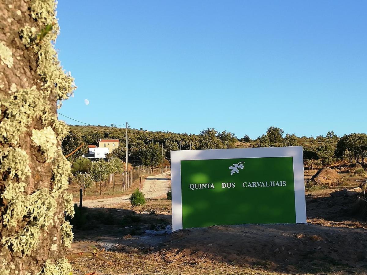 Quinta Dos Carvalhais - Serra Da Estrela 福尔努什迪阿尔戈德里什 外观 照片